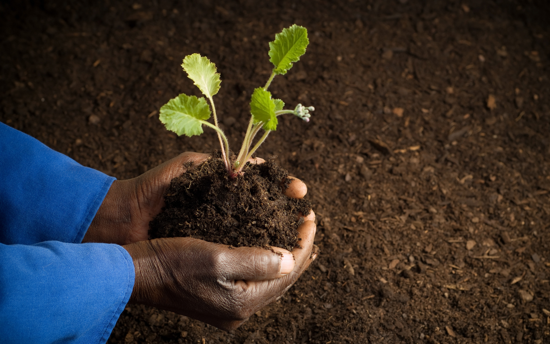 Ghana Roots Retreat - Re-establishing roots in Africa